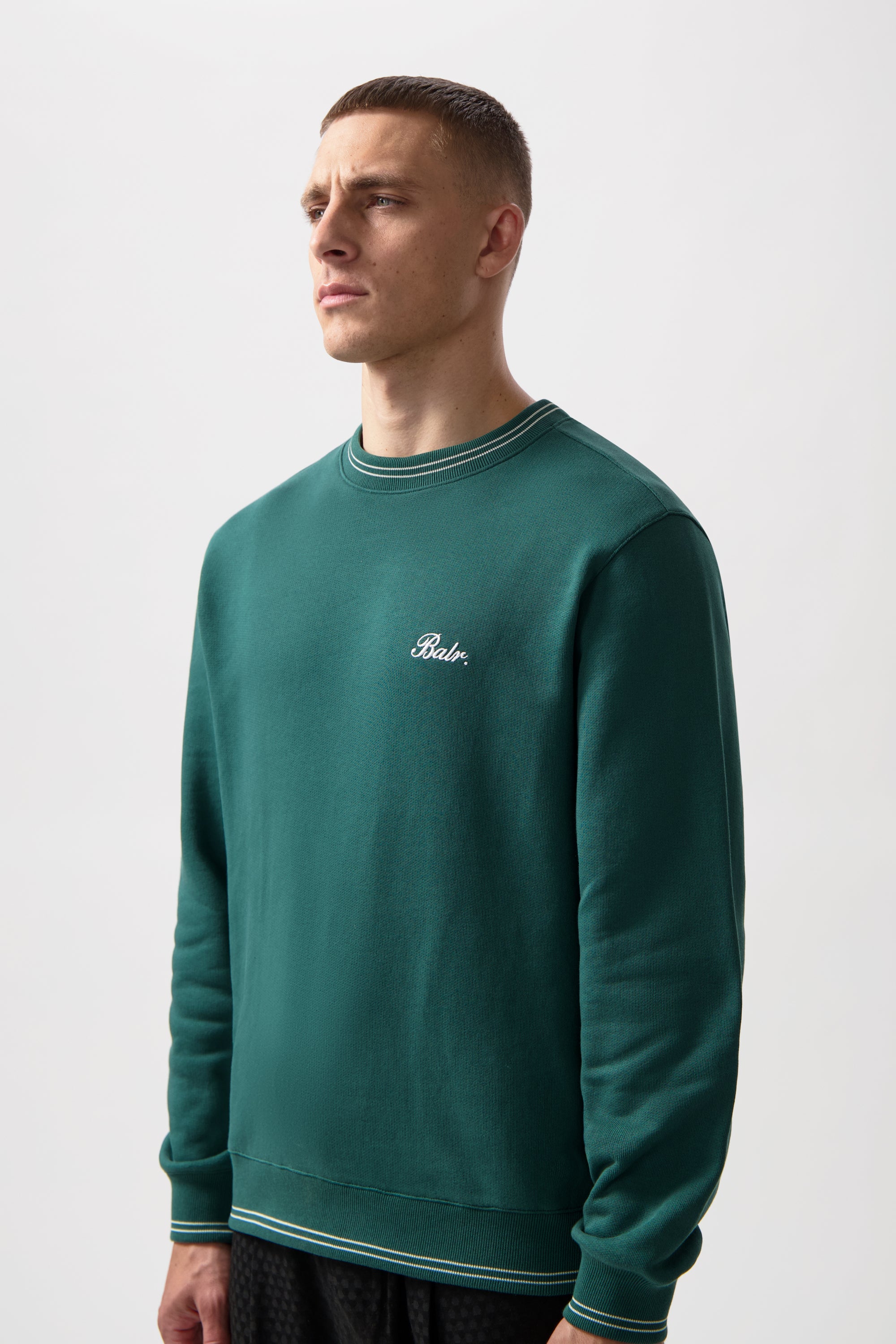 Band gestreift Crewneck Botanisches Grün