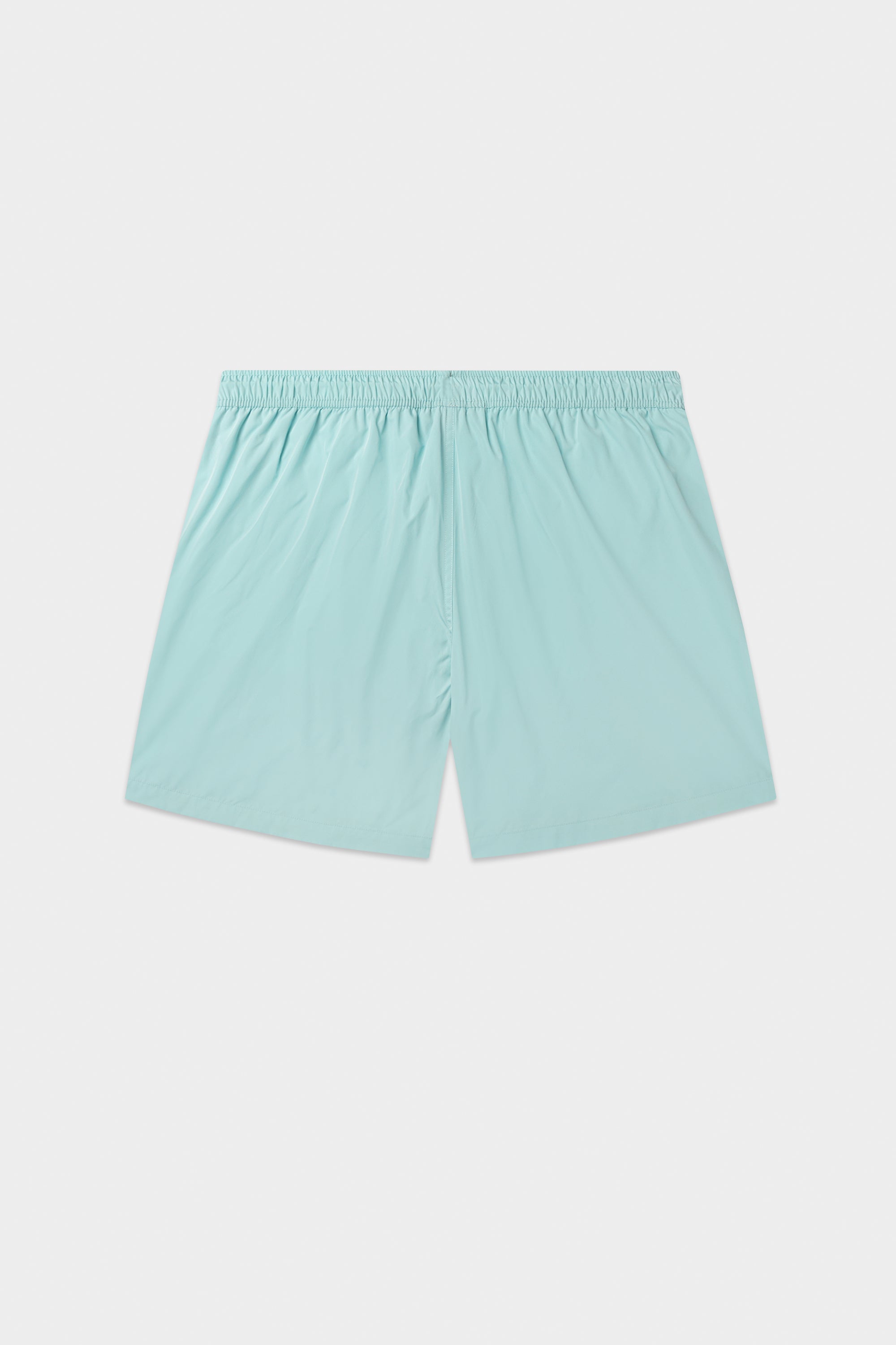 Logo Swimshorts Breeze Blue